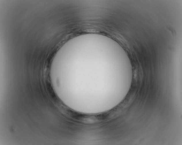 X0000114190322200910091033