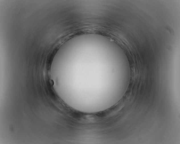X0000114190324200910091033