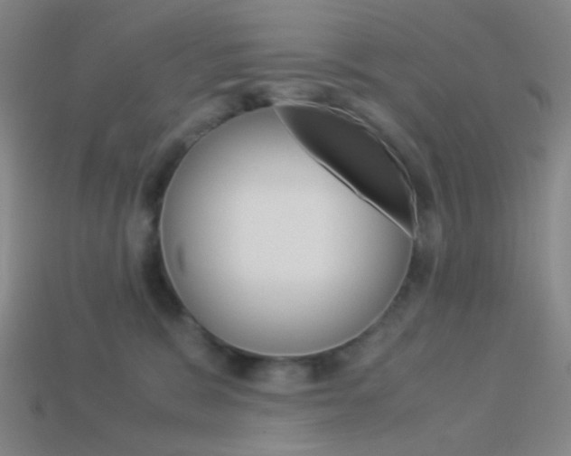 X0000114190327200910091033