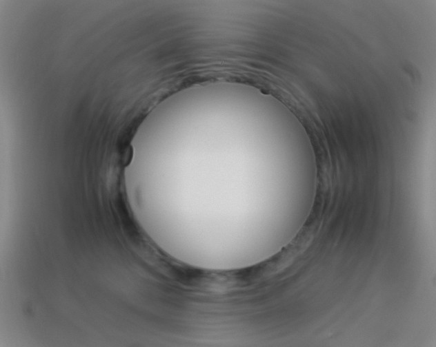 X0000114190328200910091033