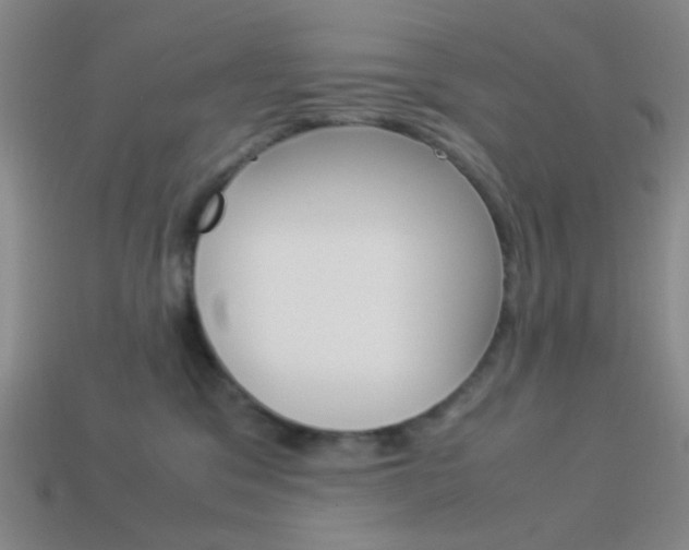 X0000114190329200910091033