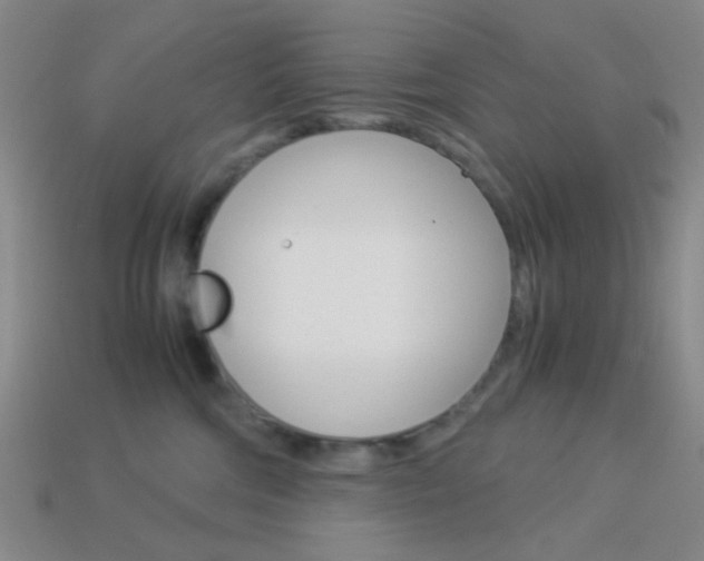 X0000114190330200910091033
