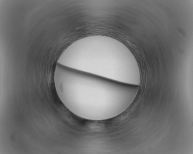 X0000114190331200910091033