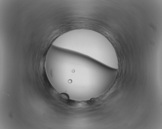 X0000114190333200910091033