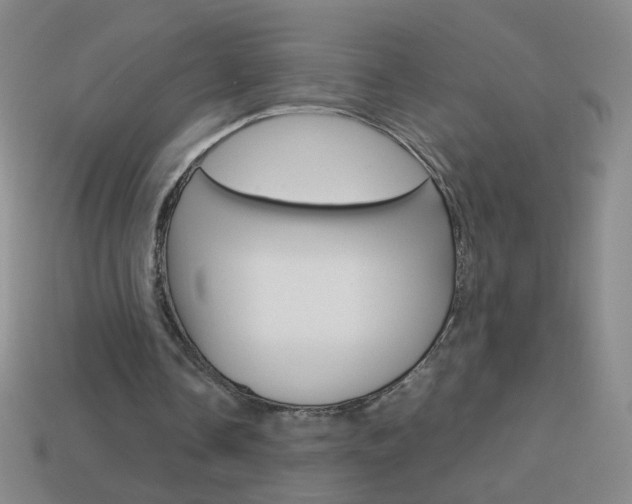 X0000114190338200910091032