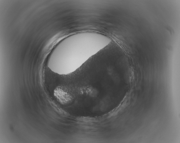 X0000114190339200910091033