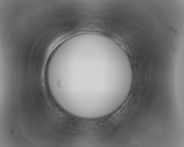 X0000114190340200910091033