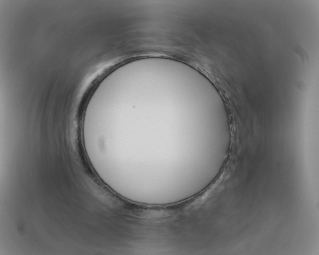 X0000114190342200910091033