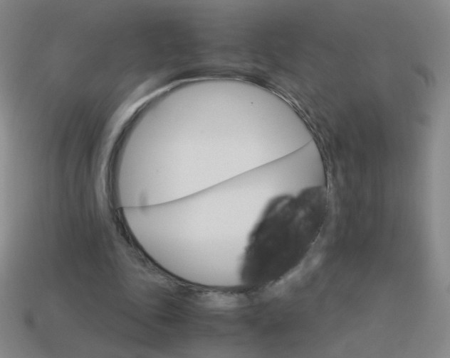 X0000114190343200910091033