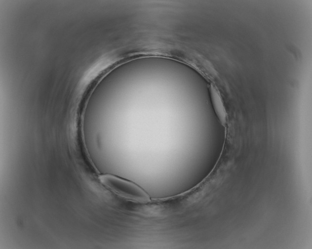 X0000114190344200910091033
