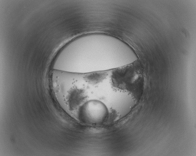 X0000114190346200910091033
