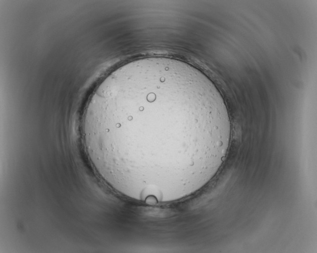 X0000114190347200910091033
