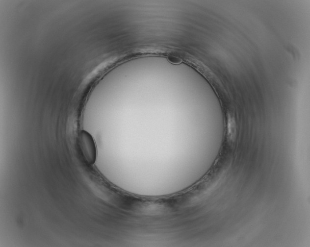 X0000114190348200910091033