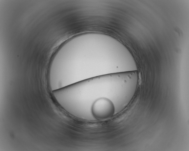 X0000114190349200910091033