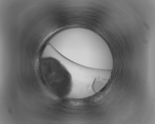 X0000114190351200910091033