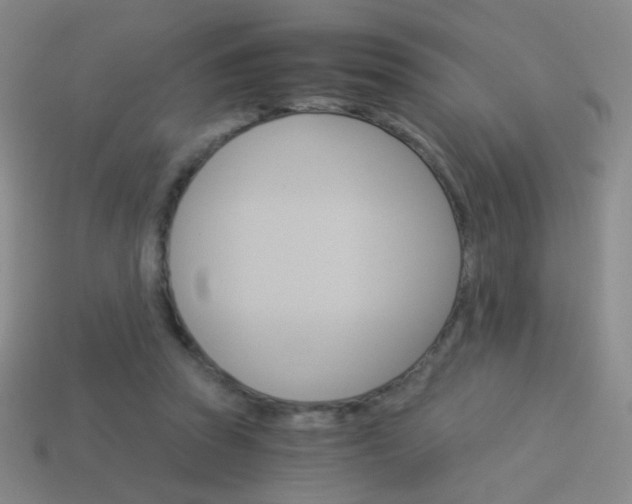 X0000114190353200910091033