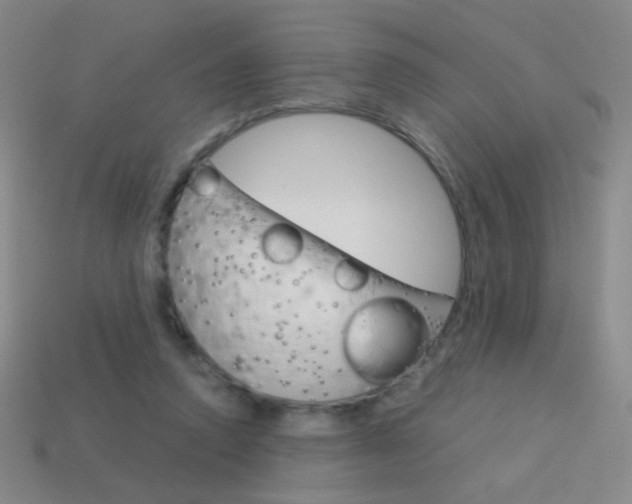 X0000114190354200910091033