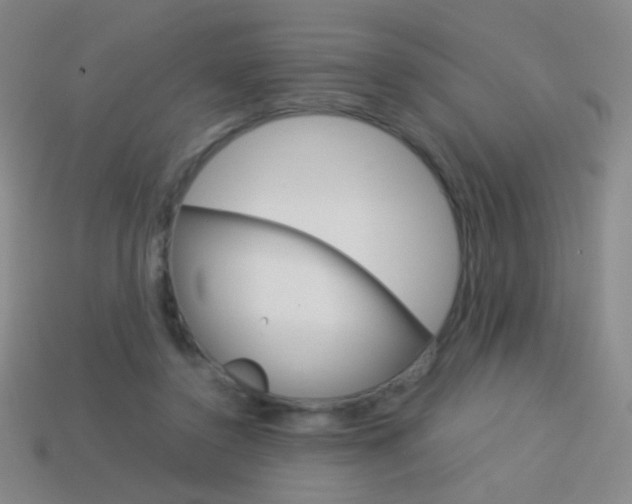 X0000114190356200910091033