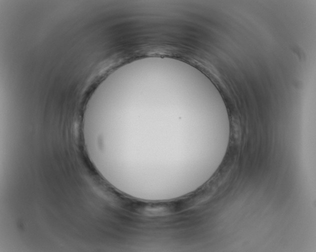 X0000114190357200910091033