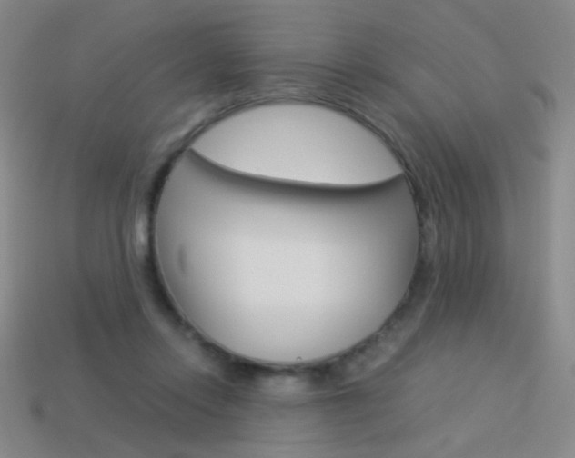 X0000114190358200910091033
