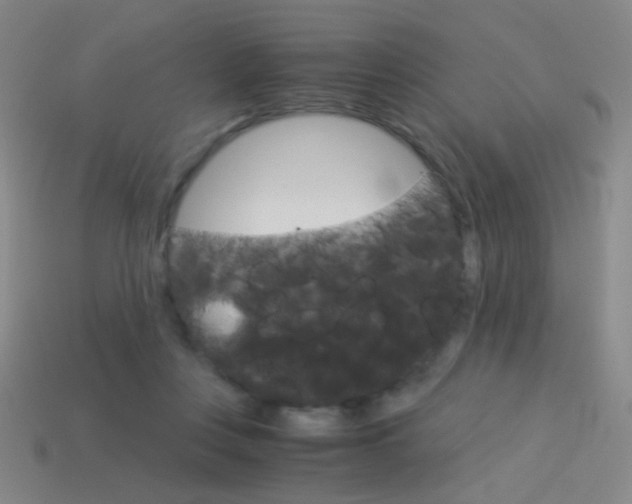 X0000114190359200910091033