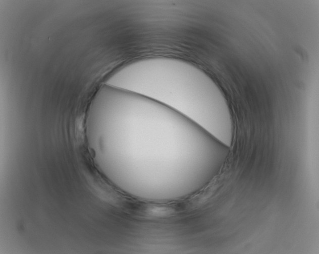 X0000114190360200910091033