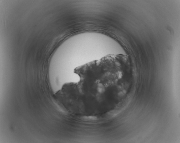 X0000114190361200910091033