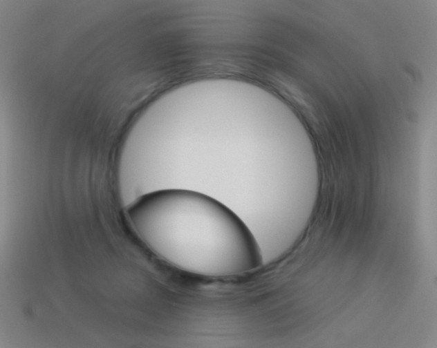 X0000114190362200910091033