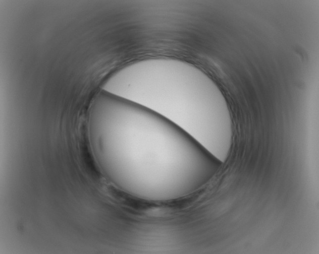 X0000114190364200910091033