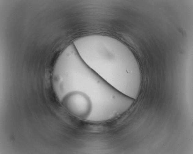 X0000114190366200910091033