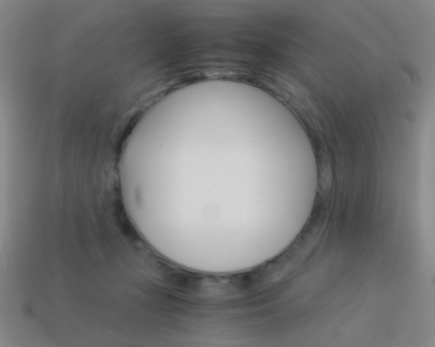 X0000114190367200910091033