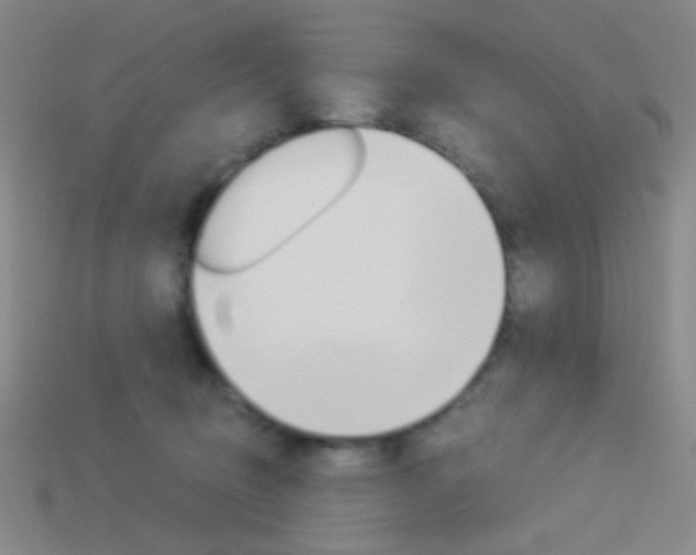 X0000114190370200910091033