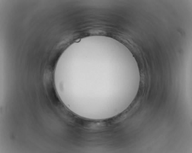 X0000114190375200910091033