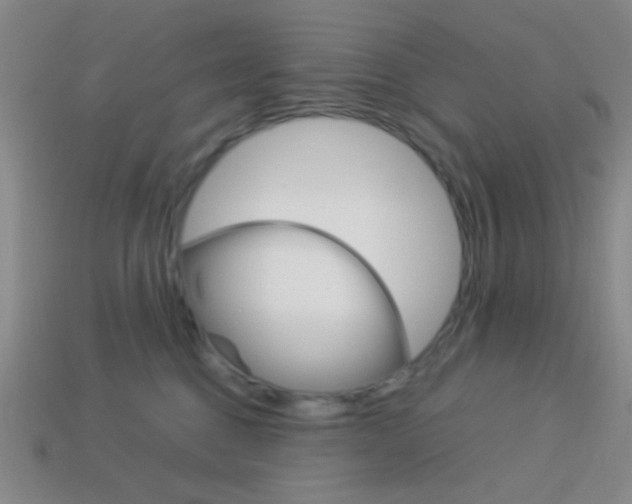X0000114190376200910091033