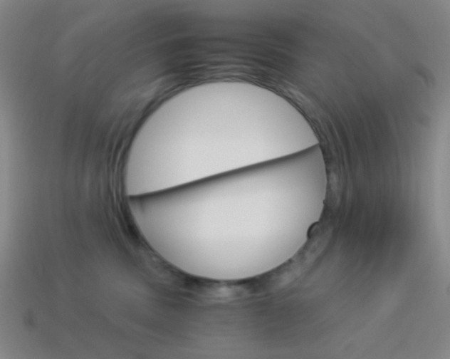 X0000114190379200910091033