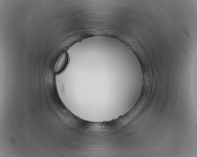 X0000114190380200910091033