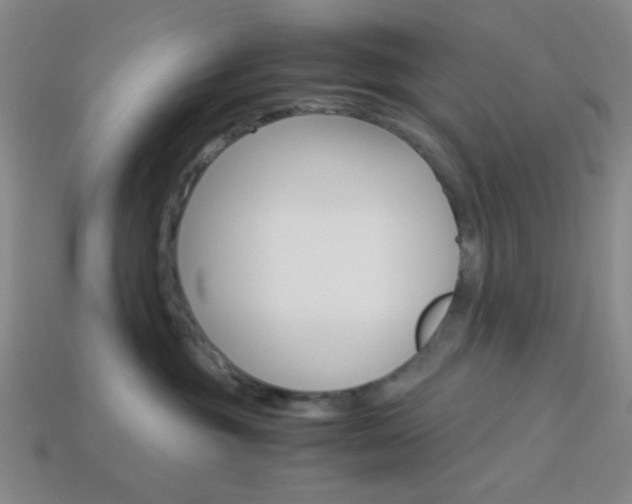 X0000114190381200910091033