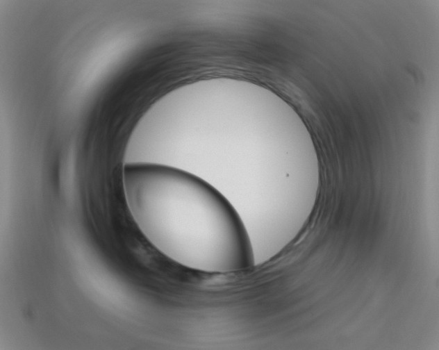 X0000114190382200910091033