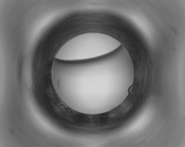 X0000114190383200910091033