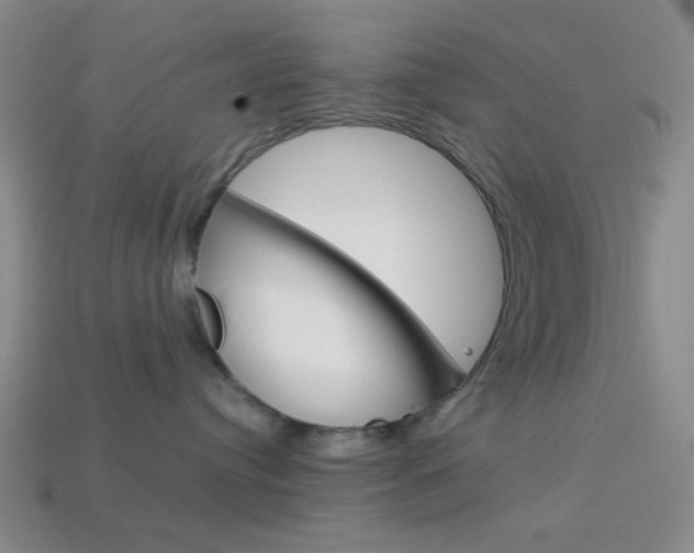 X0000114190384200910091033