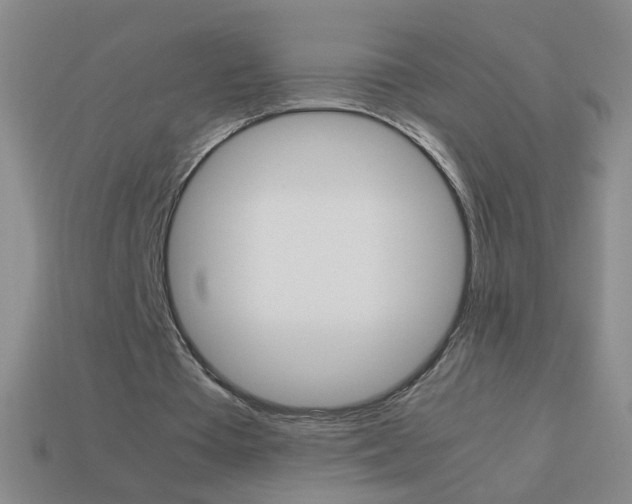 X0000114190385200910091032