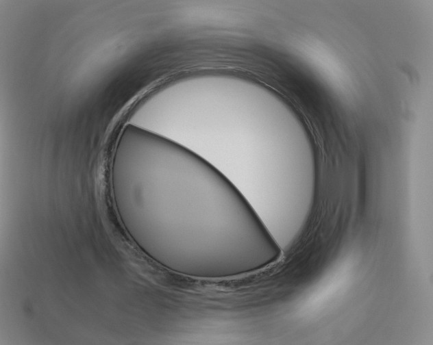 X0000114190387200910091032