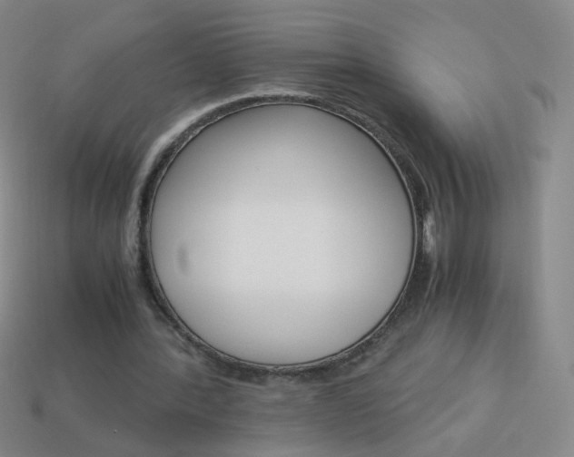 X0000114190388200910091032