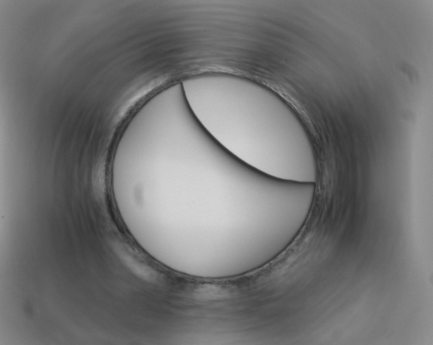 X0000114190390200910091032