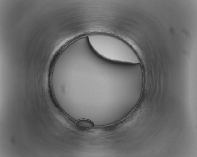 X0000114190391200910091032