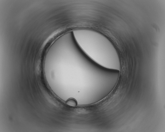 X0000114190392200910091032