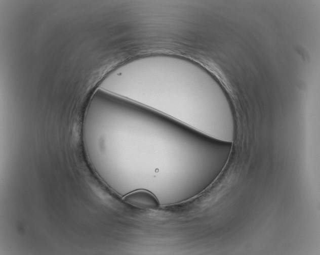 X0000114190393200910091032