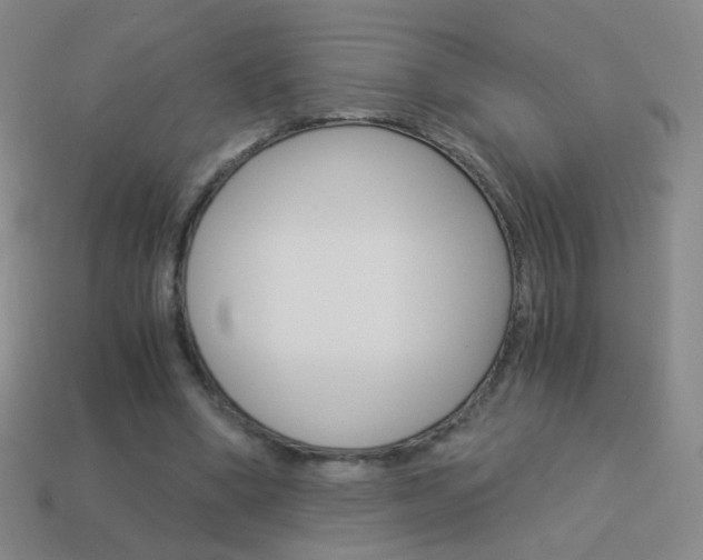 X0000114190394200910091032