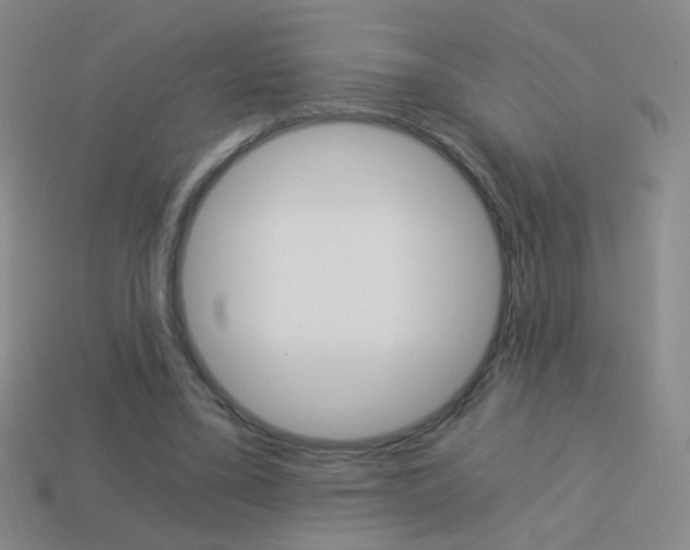 X0000114190395200910091032