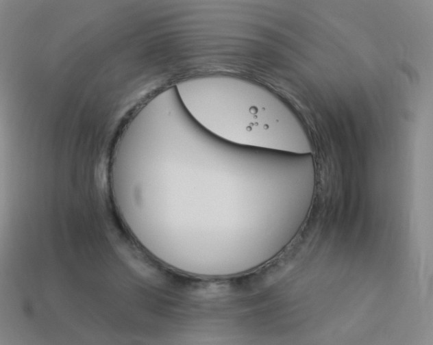 X0000114190398200910091032